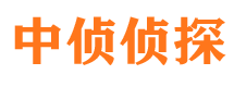 阳曲市私人调查